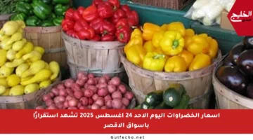 أسعار الخضراوات اليوم الأحد 24 أغسطس 2025 تشهد استقرارًا بأسواق الأقصر